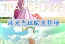 FCPX插件 TransFlare 漏光光斑眩光转场 for Final Cut Pro X-天天素材网