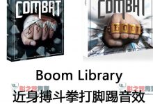 近身搏斗拳打脚踢动作音效(400+音效文件包含2400+音效)-天天素材网