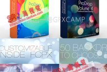 FCPX插件-梦幻朦胧虚化背景光斑粒子文字标题预设 ProDrop 1+4-天天素材网