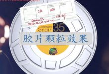 FCPX插件 Grain35 胶片颗粒效果 for Final Cut Pro X-天天素材网