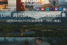 VisionColor ImpulZ LUTs调色预设2014旗舰版(AE/FCPX/达芬奇)-天天素材网
