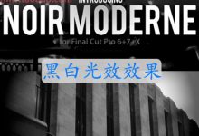 FCPX插件 Noir Moderne 黑白光效视频效果 for Final Cut Pro X-天天素材网
