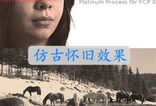 FCPX插件 Platinotype 历史纪录片复古做旧仿古怀旧效果-天天素材网