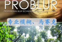 FCPX插件 ProBlur 专业模糊、马赛克等 for Final Cut Pro X-天天素材网