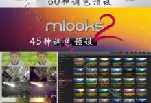 FCPX插件：mlooks1，mlooks2 高级电影调色预设（共105组）-天天素材网