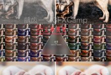 电影质感日系小清新MV调色预设 LUTS FILM (FCPX/达芬奇/AE/Pr等)-天天素材网