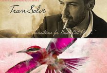 FCPX 转场插件：20种撕裂溶解噪波划痕转场效果 TranSolve-天天素材网