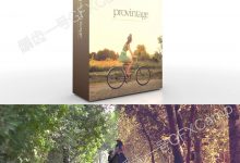 FCPX插件 ProVintage 复古怀旧柔和风格调色 for Final Cut Pro X                  Mac FCPX插件:30组陈旧复古回忆怀旧调色预设 PROVINTAGE-天天素材网