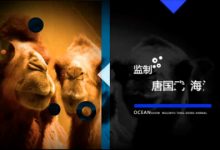 诙谐幽默电视节目开场预告视频片头ae模板素材 仿屌丝男士电视剧-天天素材网