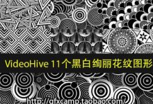 VideoHive 黑白复古绚丽花纹图形视频素材+AE工程-天天素材网