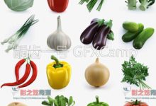 水果蔬菜3D模型 C4D_Max_FBX_OBJ多种格式-天天素材网