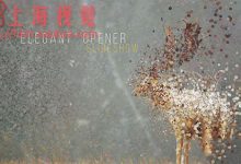 AE模板-唯美三维粒子汇聚图片企业宣传图文幻灯片片头揭幕展示-天天素材网