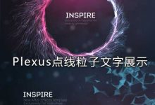 AE模板:VideoHive Plexus点线粒子文字展示-天天素材网