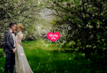 AE模板-100个优雅奢华唯美欧式婚礼清新浪漫文字标题动画  唯美浪漫-天天素材网