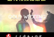 婚礼视频纪念碟 视频AE片头模板 源文件工程 时尚清新-天天素材网