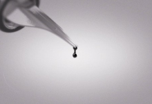 AE模板代作-优雅飘逸水墨怀旧同学会个人形象家庭电子回忆录展示-天天素材网