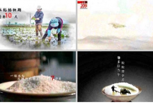 大气中国风水墨风格珍惜粮食农业相关公益广告栏目宣传视频ae模板-天天素材网