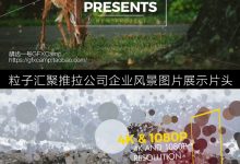 AE模板-超唯美大气圆点粒子汇聚风景旅行文化艺术图片展示片头 第三季-天天素材网