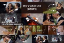 AE模板-欧式唯美浪漫小清新藤条花环婚礼人名字幕条文字标题动画-天天素材网