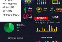 AE模板-大数据信息图表表格柱状图饼状图地图企业财务报表人物图标MG动画-天天素材网