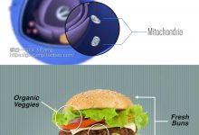 FCPX插件:22组箭头线条文字说明指示框预设-天天素材网