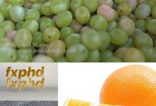 C4D着色器材质渲染多图层混合全面进阶高级教程 FXPHD C4D218-天天素材网