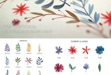 AE模板-中国风水墨彩色花藤花枝浪漫清新花朵水彩清新生长婚礼爱情工具包-天天素材网