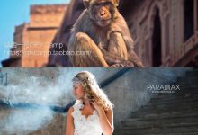 AE模板-图片转视频三维视差景深动画摄像机运动视频效果制作工具包-天天素材网