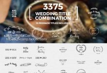 AE模板-欧式优雅清新唯美浪漫婚礼庆典人名日期标题主题开场介绍工具包-天天素材网