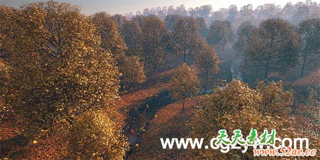 C4D教程-秋天树木场景建模渲染  Cinema 4D Tutorial  Natural Environments-天天素材网