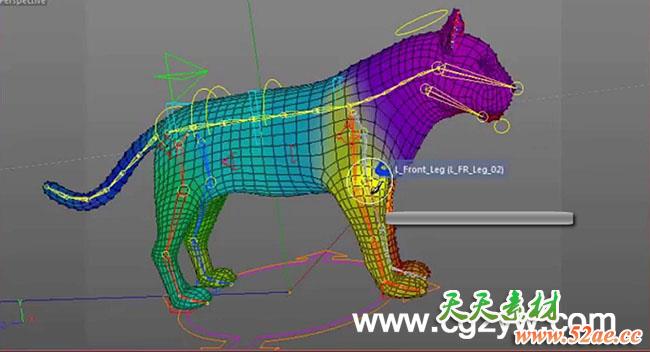 C4D动物建模贴图绑定全面教程 (含工程文件） Cinema 4D Quadruped Model UV Texturing Rigging-天天素材网
