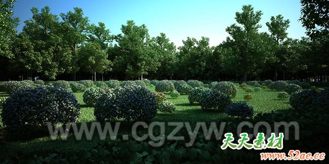 C4D植物生成插件预设园林场景地形植物库 Laubwerk SurfaceSPREAD v1.0.43 R17 WIN-天天素材网