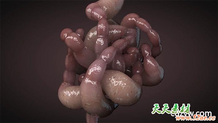 灰猩猩C4D教程-制作粘糊糊的动态肠子Making Some Slimy Guts in Cinema 4D-天天素材网