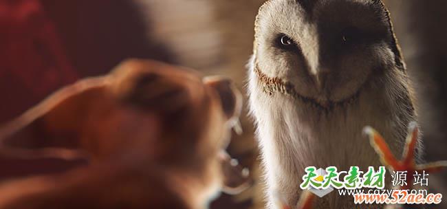 Cinema 4d R18系列教程Siggraph 2016 for Cinema 4D Collection Siggraph演示集合下载-天天素材网