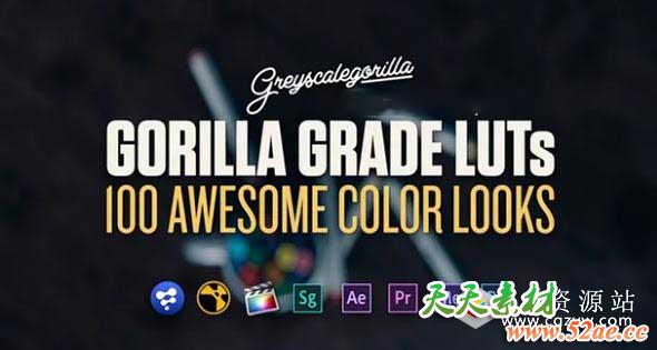 灰猩猩出品的100组电影级LUTs调色预设GreyScaleGorilla – Grade LUTs-天天素材网