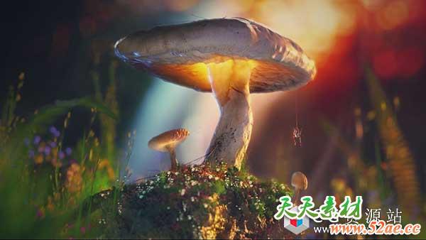 C4D与Megascans和Octane制作唯美真实蘑菇自然环境三维场景-天天素材网
