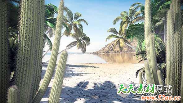 植物三维模型包仙人掌棕榈树(C4D/MAX/FBX/OBJ格式)CGAxis Models Volume 85 Exotic Plants II-天天素材网