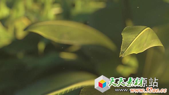 C4D Octane渲染器和AE创建植物树叶合成教程 Cinema 4D and Octane – Texturing and Rendering a Plant Scene Tutorial-天天素材网