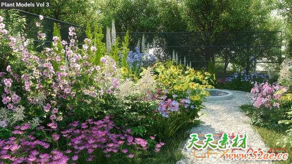 花园花朵植物3D模型 Maxtree – Plant Models Vol.3-天天素材网