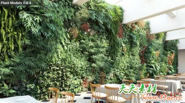 室内绿圃植物3D模型 Maxtree – Plant Models Vol.4-天天素材网