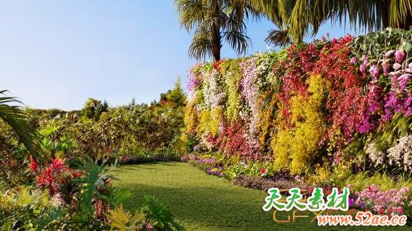 花园花朵兰花植物3D模型 Maxtree – Plant Models Vol.8-天天素材网