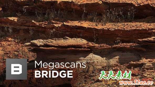 3D地表地形场景模型桥接软件 Quixel MegaScan Bridge 2.5.72 Win/Mac破解版-天天素材网