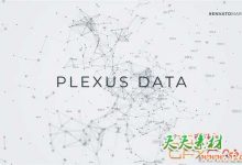 AE模板-点线粒子数据文字标题宣传片头 Data Flow Plexus Titles-天天素材网