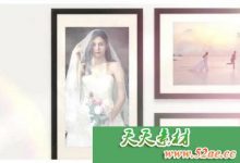 PR模板下载 婚礼幻灯片视频片头模板下载  Photo_Collage-天天素材网