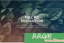 PR模板 现代演示 视频片头模板下载  Smooth Corporate-天天素材网