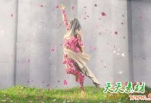 三维服装设计软件(企业版+个人版) Marvelous Designer 9 Enterprise + Personal 5.1.311.44087 Win破解版-天天素材网