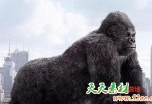 Maya毛发模拟插件 Peregrine Labs Yeti 3.6 For Maya 2018 – 2020 Win破解版-天天素材网