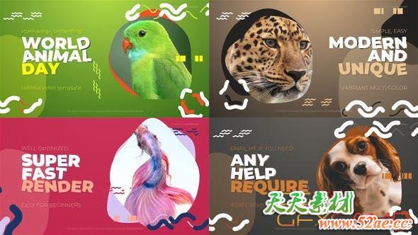 AE模板-动物介绍包装片头 World Animal Day Opener-天天素材网