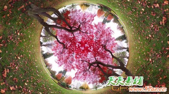 图片扭曲变形滤镜PS插件 Flaming Pear Flexify 2.981 for Photoshop Win破解版-天天素材网