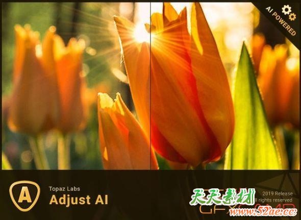 图片调节细节优化软件 Topaz Adjust AI v1.0.5 Win/Mac破解版-天天素材网